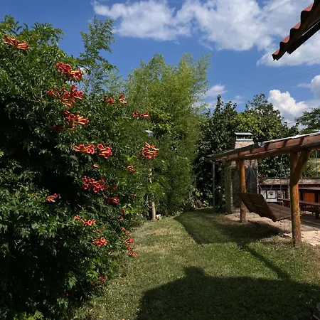 Apartman Cseligevi *